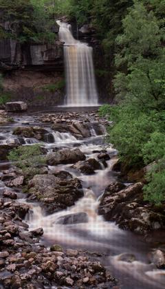 Thornton Force