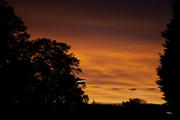 Sunfield Sunrise